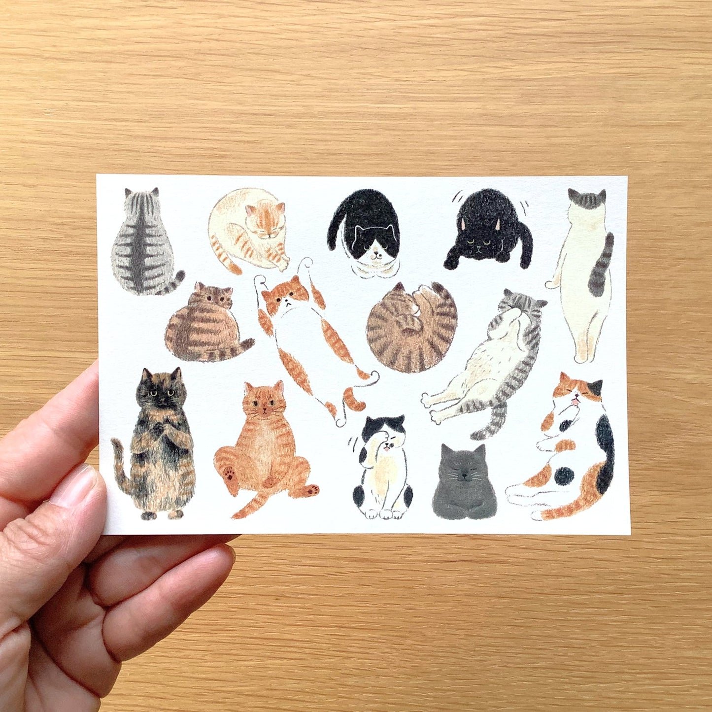 I like cats 猫が好き- 4legs postcards
