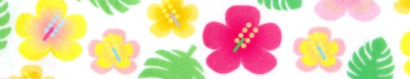 Colorful Hibiscus - 55cm sampler - mt 100 years - exhibition limited edition