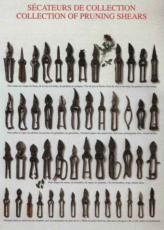 Sécateurs de Collection - Nouvelles Images postcard