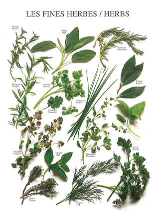 Herbs - Nouvelles Images postcard