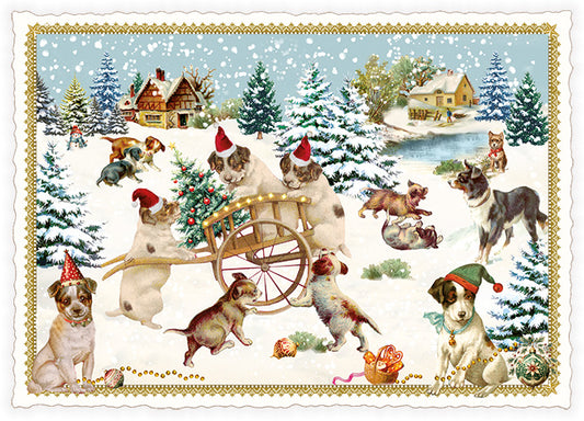 Dogs in the snow - PK1254