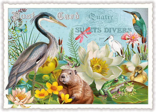 Water idyll (Wasseridylle) - PK1329