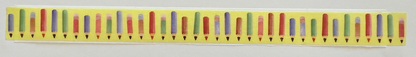 MT Washi Tape Sampler - 0.5m - Yellow collection 1