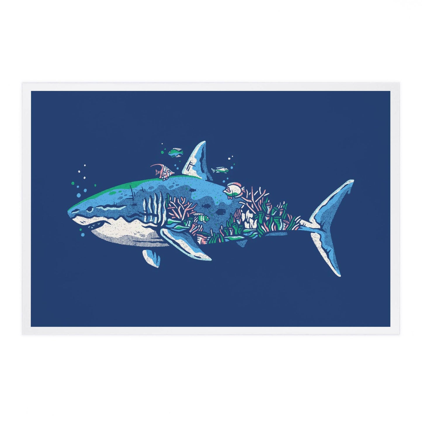 Shark, Distressed Vector - LanternPress postcard
