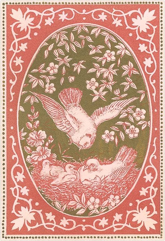 Valentine with Dove Family - Found Image postcard