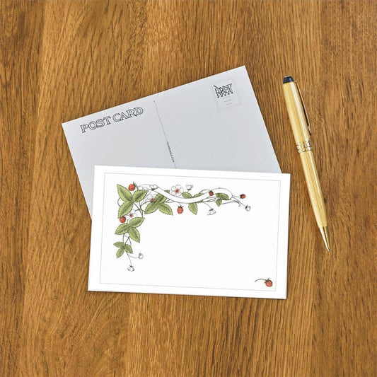 Strawberry Border, Fruit, Leaves, Flowers - Found Image postcard