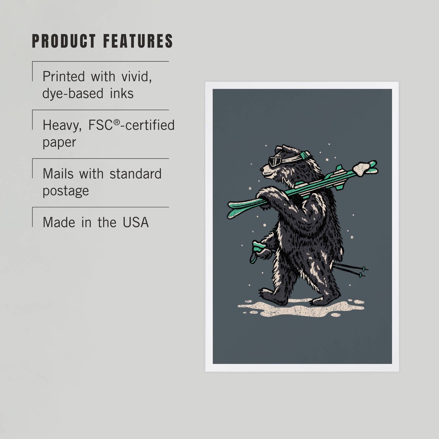 Ski Black Bear - LanternPress postcard