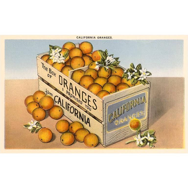Crate of California Oranges - Found Image postcard