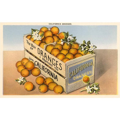 Crate of California Oranges - Found Image postcard
