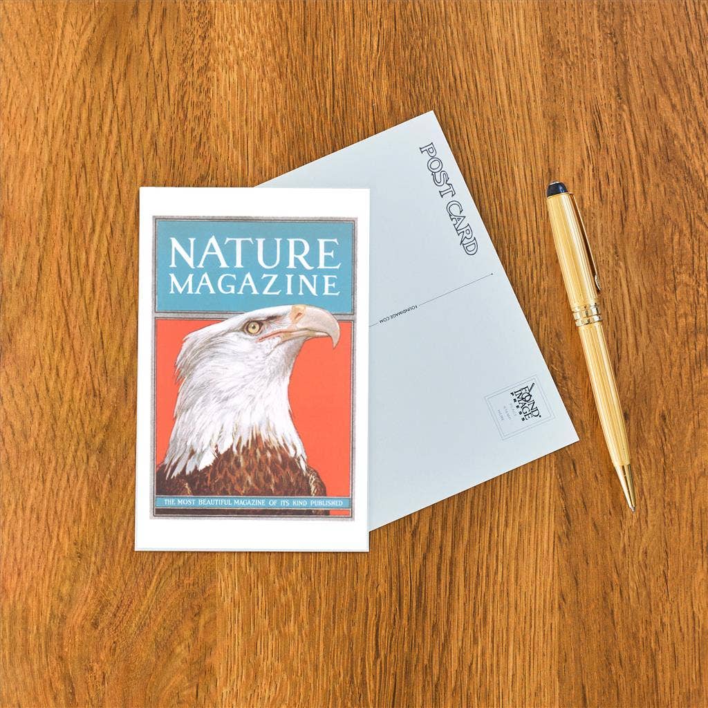 Nature Magazine Cover with Bald Eagle - Found Image postcard