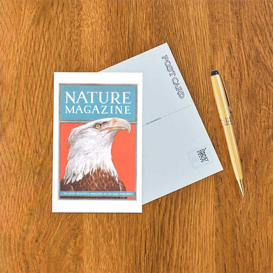 Nature Magazine Cover with Bald Eagle - Found Image postcard