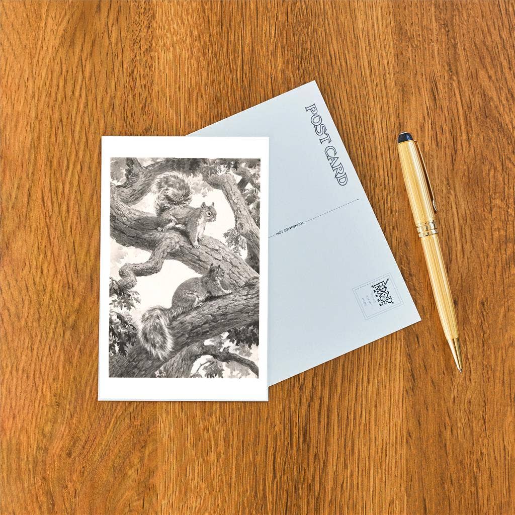 Squirrels in Tree - Found Image postcard