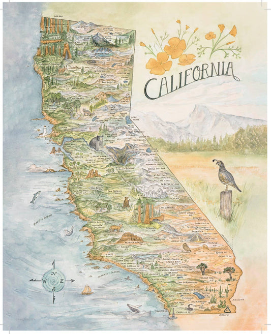 California State Map - Hiker Booty  Postcard