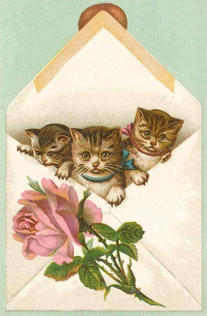 Kittens in Envelope with Rose - Found Image postcard