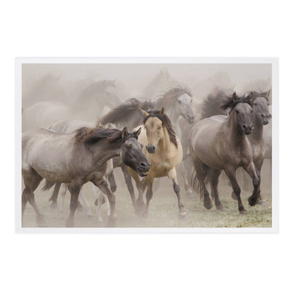 Wild Horses - Lantern Press Postcard