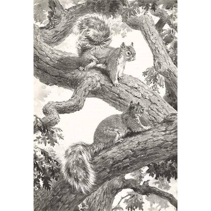 Squirrels in Tree - Found Image postcard