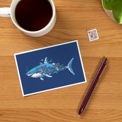 Shark, Distressed Vector - LanternPress postcard