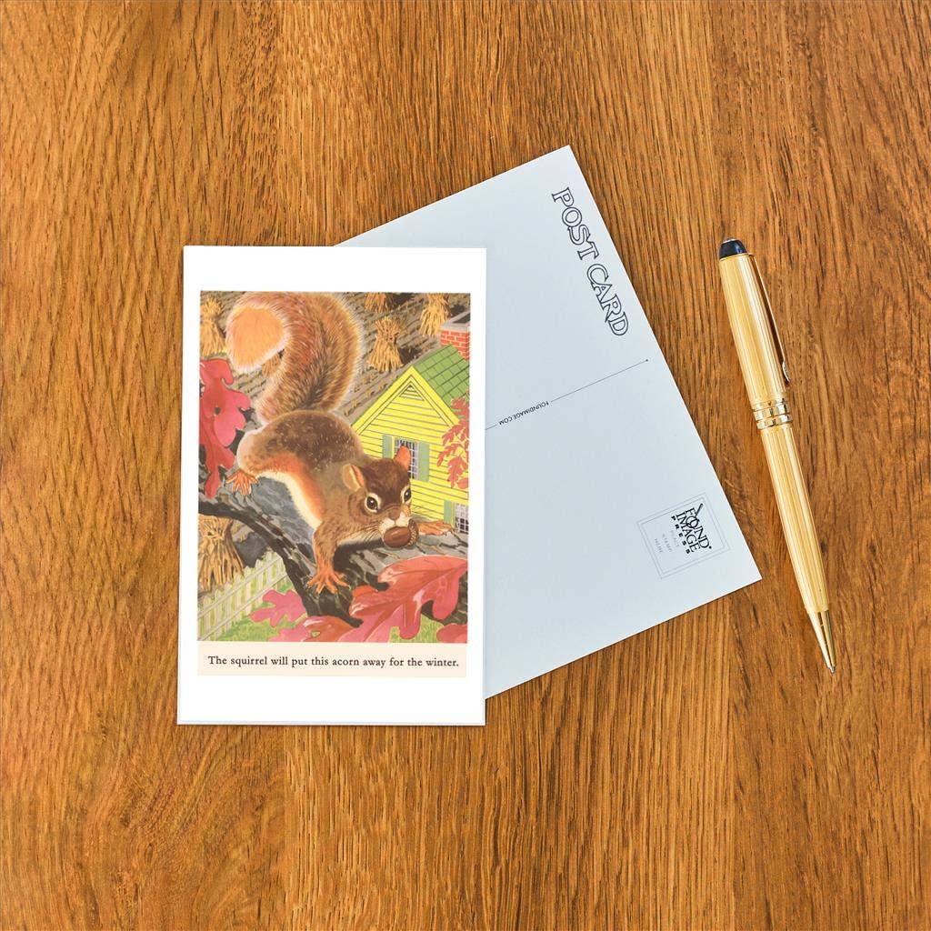 Squirrel with Acorn - Found Image postcard