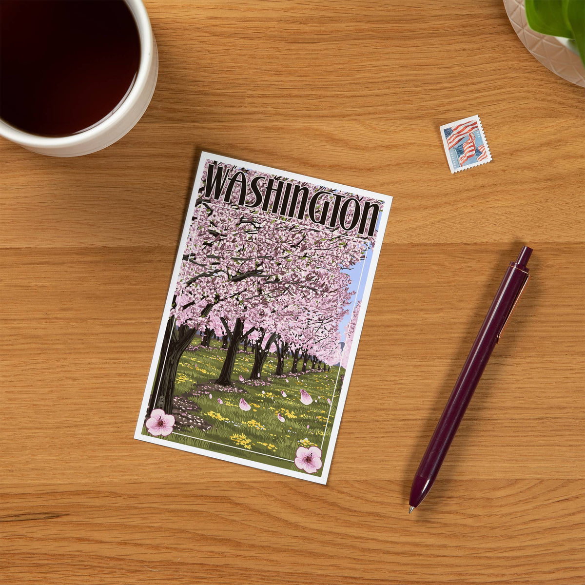 Washington, Cherry Tree Blossoms - Lantern Press Postcard