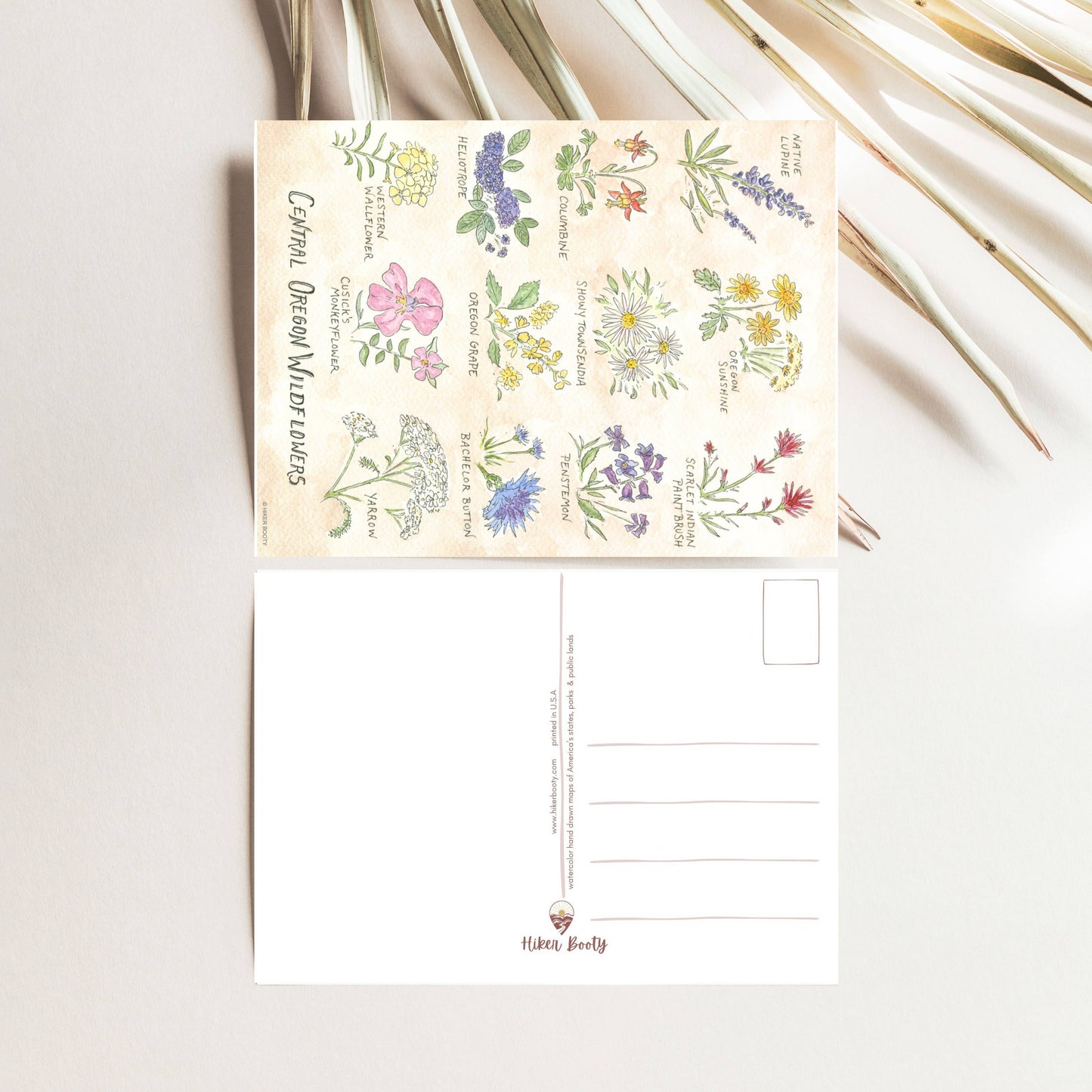 Central Oregon Wildflowers - Hiker Booty Postcard