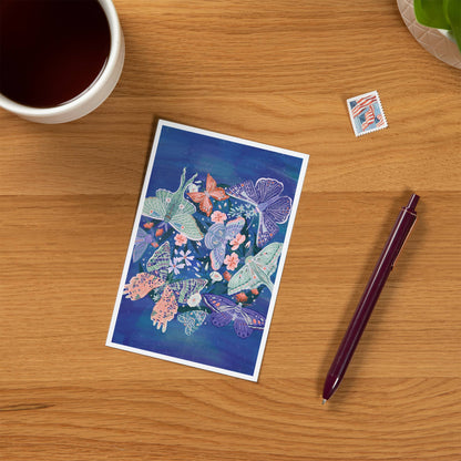 Luminous Butterflies - Lantern Press Postcard