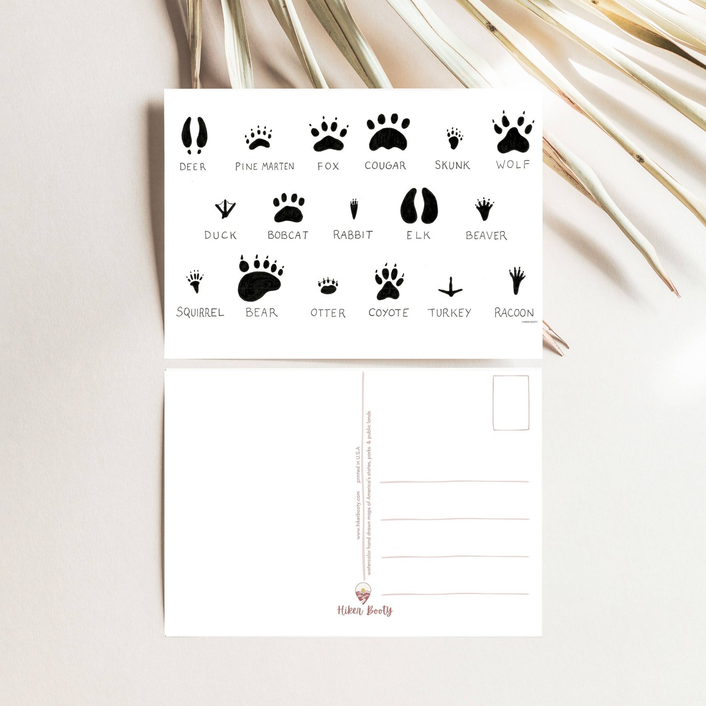 Animal PNW Prints Chart - Hiker Booty Postcard