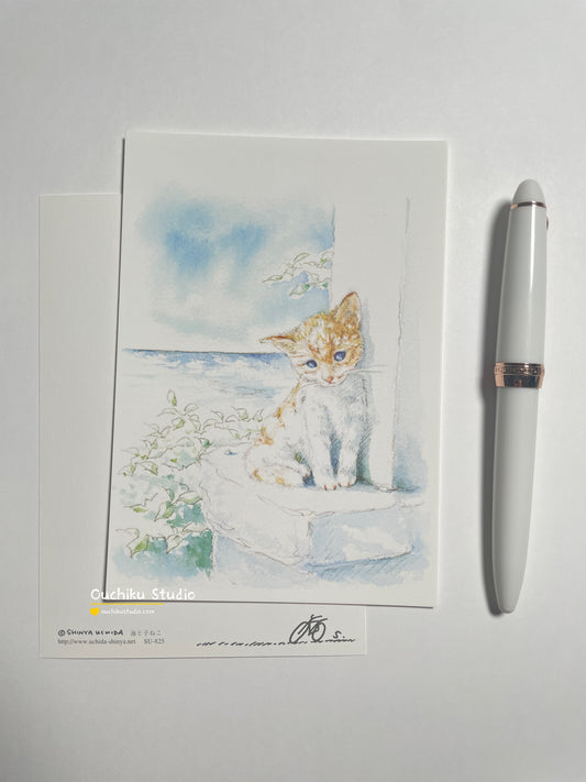 海と子ねこ (Cat)- Shinya Uchida Postcard