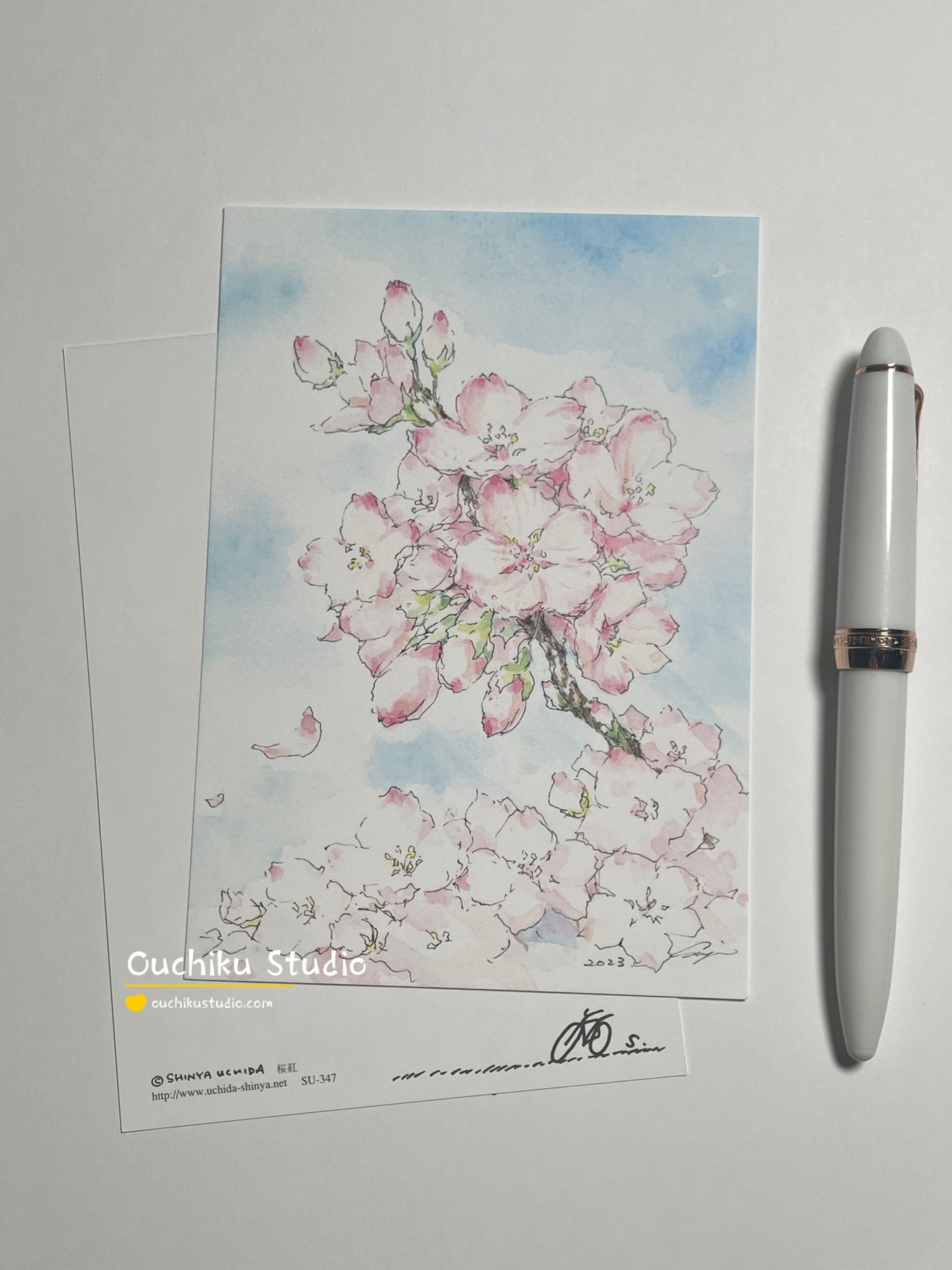 紅桜 - Shinya Uchida Postcard