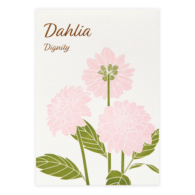 Dahlia - Clothes Pin letterpress postcard