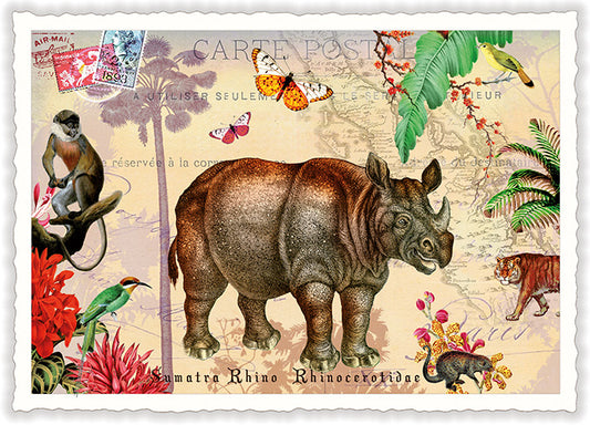 Wildlife-Edition, Sumatra Nashorn – Rhino - PK1123