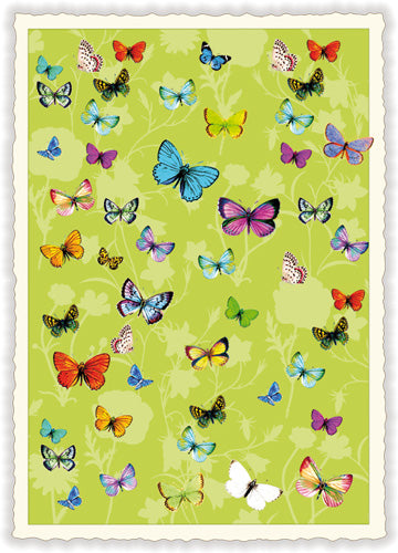 Schmetterlinge, butterflies - PK407