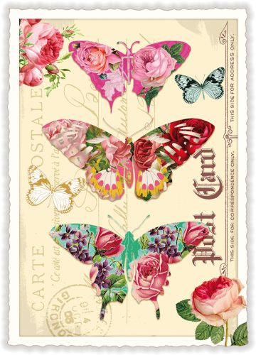 Schmetterlinge, Butterflies - PK701