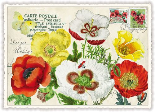 Flowers, Blumen - PK797