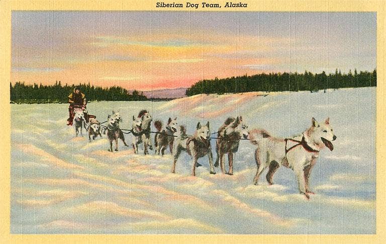 Siberian Dog Team - Vintage Image, Postcard