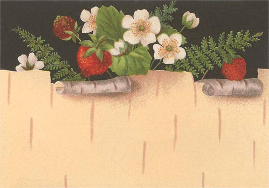 Strawberries, Ferns, Wild Roses - Vintage Image, Postcard