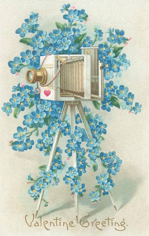 Camera with Blue Flowers - Vintage Image, Postcard